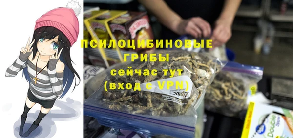 MDMA Бикин
